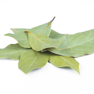HOJAS DE LAUREL
