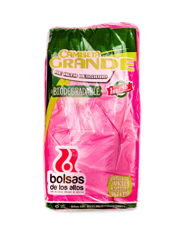 BOLSA DE ASA GRANDE