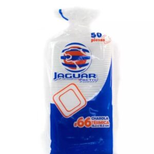 JAGUAR CHAROLA # 66 50 PZ 1/10 UD