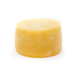 QUESO OREADO